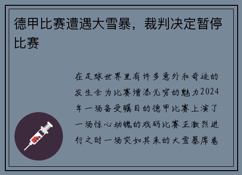 德甲比赛遭遇大雪暴，裁判决定暂停比赛
